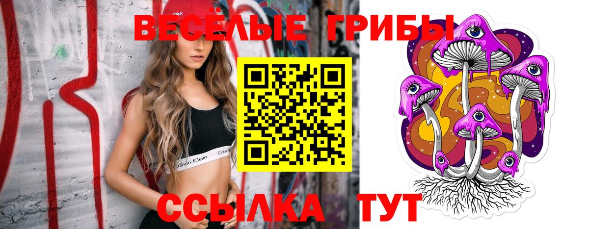 Люберцы  Псилоцибиновые грибы MAGIC MUSHROOMS  Вход с VPN 
