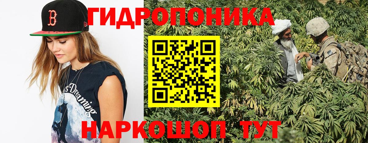 Бошки марихуана OG Kush  Конопля Bruce Banner  Вход с VPN  Бошки марихуана THC 21%  Люберцы  Каннабис SATIVA & INDICA 